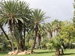 183 D35 PARC OLBIUS RIQUIER A HYERES_000041
